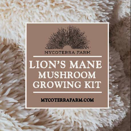 Organic Lion's Mane Mushroom Grow Kit, Indoor — view 2