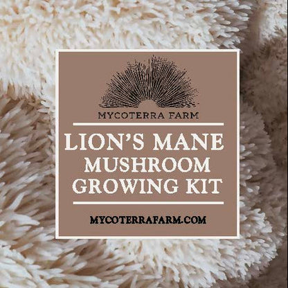 Organic Lion's Mane Mushroom Grow Kit, Indoor — view 2