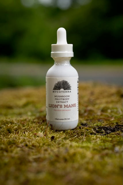 Organic Lion's Mane Mushroom Tincture, 2 oz