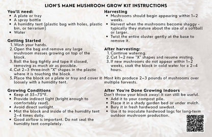 Organic Lion's Mane Mushroom Grow Kit, Indoor — view 3